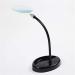5X Metal Hose Desktop Metal Base LED Light Magnifier with Reading Light map Newspaper etc Made in China - Buy Online on GoSupps.com