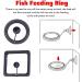 Taicols 2 Pack Feeding Ring Aquarium and Tank Floating Feeder Ring for Goldfish and Other Smaller Fish Aquarium Feeder Feeding A Aquarium Square Round Fish Food Feeders with Suction Cupquarium Fish - Buy Online on GoSupps.com