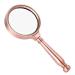 Magnifying Glass 10X Handheld Magnifier Metal Handle Bronze Crafts Reading Magnifying Glass for Kids Science Small Gift