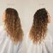 Kristin Ess Moisture Rich Curl Shampoo - Vegan, Sulfate & Paraben Free, Color Safe - 10 fl. oz. (Pack of 1) - Buy Online on GoSupps.com