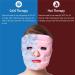 Professional Magnetic Gel Bead Ice Face Cover | Soothing Stone Gel Facial Mask for All Skin Types - Buy Online on GoSupps.com