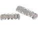 Syrisora Teeth Set Hip Hop Prop Teeth Accessory Decoration for Halloween Party Gift (Silver Set) - Buy Online on GoSupps.com