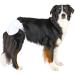 Trixie Dog Diapers M-L (12 Pack) for Bitches - White Fits 36-52 cm | International Shipping Available - Buy Online on GoSupps.com