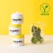 ROAEXPO JEJUON Deeprove Ceramide Cream - Natural Moisturizing Soothing Cream Vegan K-Beauty with Ceramide NP Made in Korea - 2.02 Fl Oz - Buy Online on GoSupps.com
