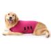 Zongha Anti-Stress Vest for Dogs | Panic & Fear Relief Coat | Medical Dog Jacket in Rose-Red (M) - Buy Online on GoSupps.com