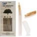 Miswak Stick 7 Pcs with Holder Teeth Cleaning Sticks Sewak Siwak Natural Toothbrush Organic Cleansing Disinfectant Whitening