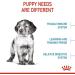 Royal-Canin Medium Puppy Dry Dog Food 17 Lb. - Buy Online on GoSupps.com