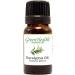 Eucalyptus 1/3 fl oz (10 ml) Glass Bottle 100% Pure Essential Oil GreenHealth - Buy Online on GoSupps.com