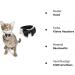 Buy Hacraho Formal Dog Fly Costume - White Adjustable Collar for Dogs & Cats | Perfect for Weddings & Birthdays - Size M for Small Pets - Buy Online on GoSupps.com