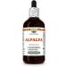 Hawaii Pharm Alfalfa Alcohol-Free Liquid Extract Alfalfa (Medicago Sativa) Sprouting Seed Glycerite Natural Herbal Supplement 2x4 oz 8 Fl Oz (Pack of 1) - Buy Online on GoSupps.com