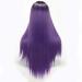 SHIYID Long Straight Synthetic Wig - Black Purple Green Styles for Black Women | Chemical Fiber Wigs - Buy Online on GoSupps.com