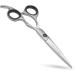 Professional Hairdressing Scissors Barber Salon Haircutting Shears 5.5" Silver - Buy Online on GoSupps.com