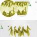 LWXLJMJZC-50 cups Supreme Long Jing (Dragon Well) Green Tea Natural Xihu Longjing Green Tea Loose Leaf Chinese Early Spring Green Tea-100g 100g Supreme Long Jing Green Tea - Buy Online on GoSupps.com
