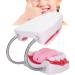 Teeth Model with Toothbrush - Ideal for Hospitals & Kindergartens | Teach Toddlers Oral Hygiene - Buy Online on GoSupps.com