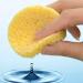 50 Pcs Compressed Facial Sponges | Cellulose Cleansing Sponge Pad | Exfoliating & Reusable for Makeup Removal and Skincare - Buy Online on GoSupps.com