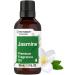 Horb ach Jasmine Fragrance Oil | 1 fl oz (30ml) | Premium Grade | for Diffusers Candle and Soap Making Aroma Spray DIY Projects & More Jasmine 1 Fl Oz (Pack of 1)