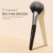 Big Fan Brush for Makeup | Professional Quality & Precision | Ideal for Makeup Artists & Beauty Enthusiasts - Buy Online on GoSupps.com