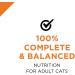 Purina Pro Plan Wet Cat Food Savor Adult Chicken Entr e 3-Ounce Can Pack of 24 - Buy Online on GoSupps.com