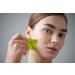 Buy Natural Jade Roller & Gua Sha Set - Facial Massage Tools for Skin Care Fine Lines Relief & Muscle Relaxation | International Shipping Available - Buy Online on GoSupps.com