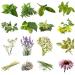 Large herbal package for vaporizers aroma therapy and incense. Aroma herbs scented herbs - 235 g'