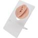 Lifelike Silicone Ear Model for Piercing Practice - Soft Elastic Multi-Colored Options - Buy Online on GoSupps.com