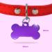 Ibera Gifts: Personalized Bone-Shaped Dog & Cat Pendants - Custom Engraving for Collars (Purple Crown) - Buy Online on GoSupps.com