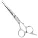 Stainless Steel Hair Scissors Hair Thinning Scissors Cutting Shear Professional Hair Cutting Scissors Cutting Styling Hair Hairdressing Shear Hair Shears Scissor for Family Salon Barber(Regulate Scissor) - Buy Online on GoSupps.com