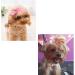 BDHI 100pcs Small Dog Hair Bows with Elastic Rubber Dog Hair Bow for Long Hair Puppy Cat Hair Bows Colors Randomly(Y153-100) - Buy Online on GoSupps.com