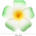 Lurrose Bridal Hair Clip 12 Pieces Hawaiian Plumeria Flower Hair Clip Hawaiian Foam Flower Hair Clip Hair Accessories for Beach Party Artificial Wreath - Buy Online on GoSupps.com