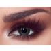 Bella 1-Day Colored Contact Lenses in Ash Brown - Natural Anthracite Color for Dark Eyes Dioptre -0.00 10x Daily Lenses - Buy Online on GoSupps.com