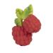 Bad Bijtspeltje Valery Framboos - Eco-Friendly Baby Spoon for Teething - International Shipping Available - Buy Online on GoSupps.com