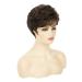 Short Brown Pixie Wig for White Women - Synthetic Layered Cosplay Hair in Brown mixed Blonde - Buy Online on GoSupps.com