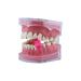 Buy YOUYA Dental Silicone Orthodontic Tooth Aligner Chewies - 6 Pack Cute Grip Handle for Invisible Braces | 3 Flavors - Pink Orange Series - Buy Online on GoSupps.com