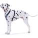 HUNTER NEOPRENE Dog Harness - Padded Nylon Adjustable S (42-53 cm) - Black/Grey | International Shipping - Buy Online on GoSupps.com