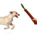 Dongker Bite Sausage for Dogs - Durable Leather Tug Toys with Nylon Hand Loop (20/30/40 cm) - Perfect for Training & Play - Buy Online on GoSupps.com