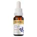 Kosmea Revive Illuminating Essence Hydrating Face Oil for All Skin Types 10ml Superfine Facial Oil | Vitamin C Oil for Face | Organic Face Oil | Daily Routine Face Care Kit