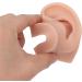 Flexible Silicone Ear Model 3 Colors, Waterproof & Realistic for Beauty Practice - Buy Online on GoSupps.com