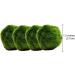 k2aqua LARGE 4 Marimo Moss Balls Live Aquarium Plant Always Fresh Cladophora aegagropila Shrimps & Snails Love Them - Buy Online on GoSupps.com
