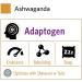 Organic India Ashwagandha Herbal Supplement - Stress Support & Mood Enhancement - 90 Capsules, USDA Organic, Vegan, Non-GMO - Buy Online on GoSupps.com