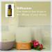 doTERRA Marjoram Essential Oil 15 ml - Premium Quality International Shipping Available - Buy Online on GoSupps.com
