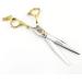 Retro Barber Scissors Luxury Hair Scissors Professional Hairdressing Scissors Hair Scissors Set (Color : F2 Size : Tooth Cut 6 inch) Tooth cut 6 inch F2 - Buy Online on GoSupps.com