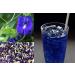 Ancient Herb - Dried Butterfly Pea Flowers by SellAllDay (0.10) 0.1 Kilograms - Buy Online on GoSupps.com