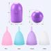 PATILWON Menstrual Cups 2 Pack Period Cup with Micro-Wave Oven Box Holder Purple&pink Large - Buy Online on GoSupps.com