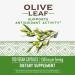 Nature's Way Olive Leaf Extract 1500mg - 100 Capsules | Premium Herbal Supplement - Buy Online on GoSupps.com