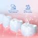 Fengyang 2Box Jelly Cup Mouthwash - Travel Size for Fresh Breath & Healthy Teeth | Clear Bad Breath & Restore Oral Health - Buy Online on GoSupps.com