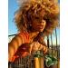 Annivia Ombre Blonde Afro Short Kinky Curly Wig with Bangs | 14 Inch for Black Women - Buy Online on GoSupps.com
