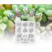 Alexnailart Nail Art Stamping Plate Template Image Plate Nail Art Tools Cactus Snail Flower DIY Stencil Tools (FL029) - Buy Online on GoSupps.com