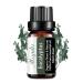 Eucalyptus Essential Oils Organic Plant & Natural Pure Eucalyptus Oil for Diffuser Humidifier Massage Bath Skin & Hair Care -10ml