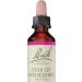 Bach Original Flower Remedies - Pine 20ml - Buy Online on GoSupps.com