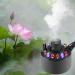 12 Lights Atmosphere Smoke Atomizer Ultrasonic Mist Maker Fogger Pond Fog Atomizer Mini Size Large Capacity of Mist with Splash Guard Perfect for Halloween and Other Holidays UK Plug - Buy Online on GoSupps.com